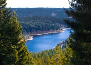 Black Forest