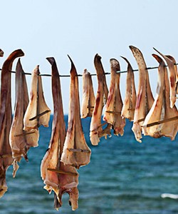 Formentera’s best-kept secret